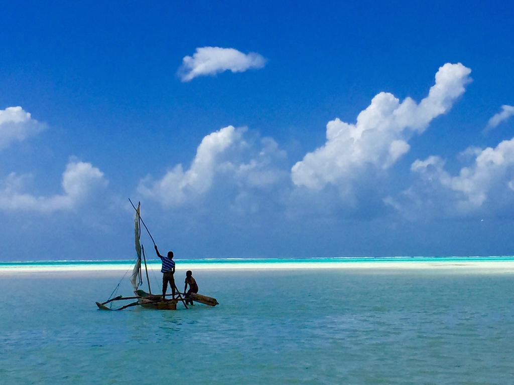 Zanzistar Pensiune 3*
