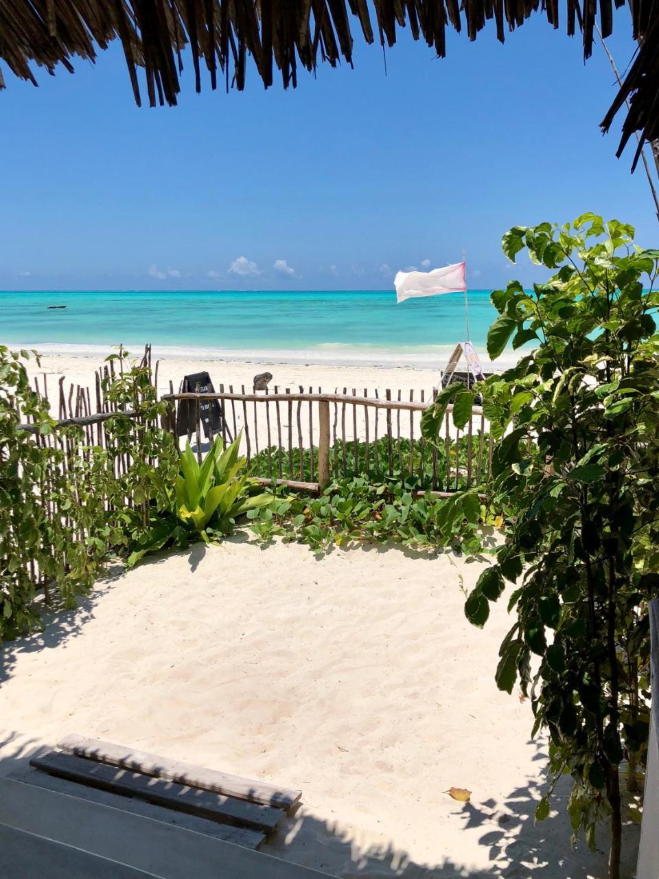 Pensjonat Zanzistar Jambiani (Zanzibar)