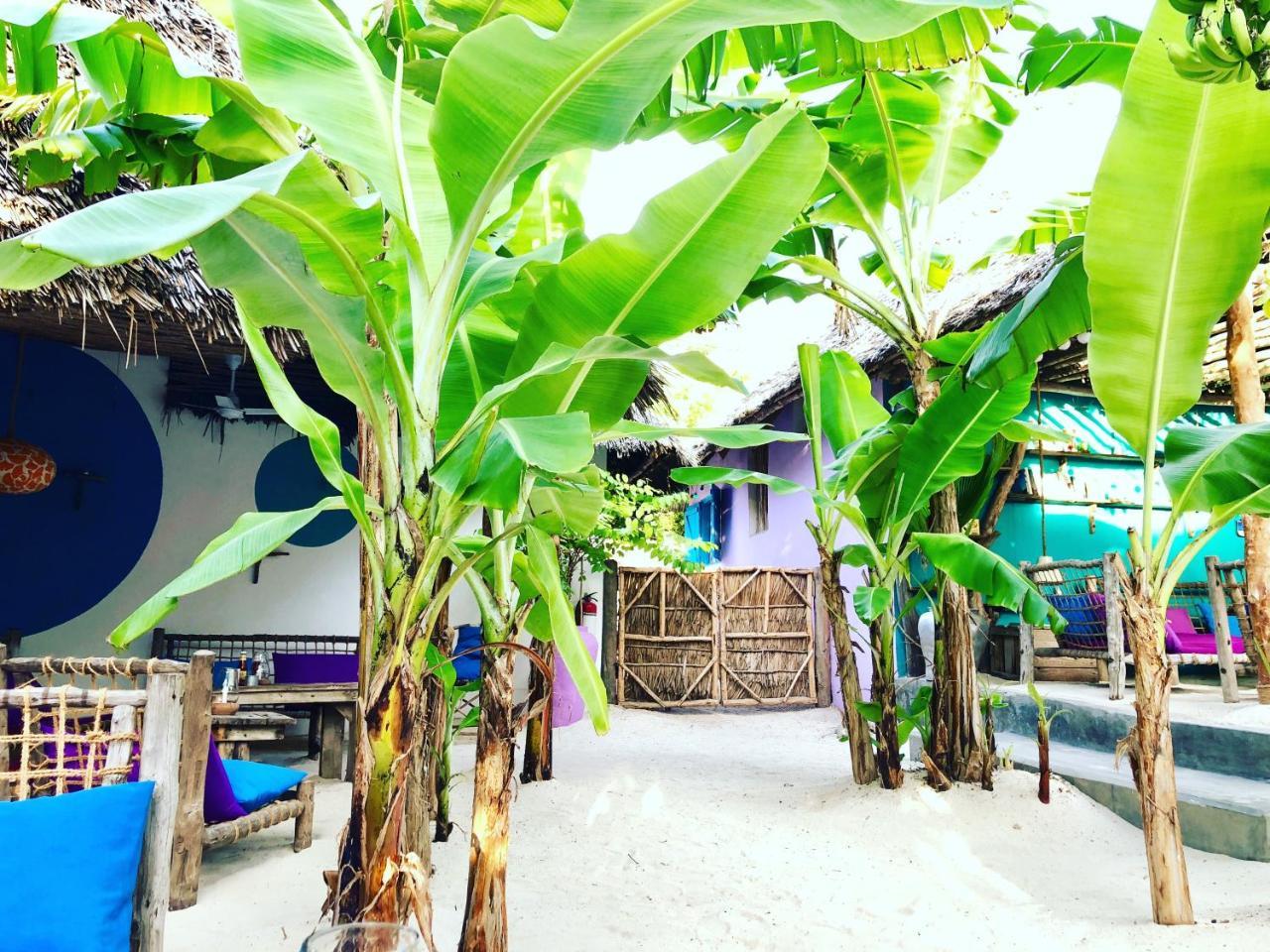 Zanzistar 3* Jambiani (Zanzibar)